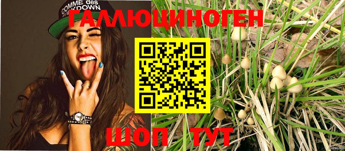 Псилоцибиновые грибы MAGIC MUSHROOMS Гусиноозёрск